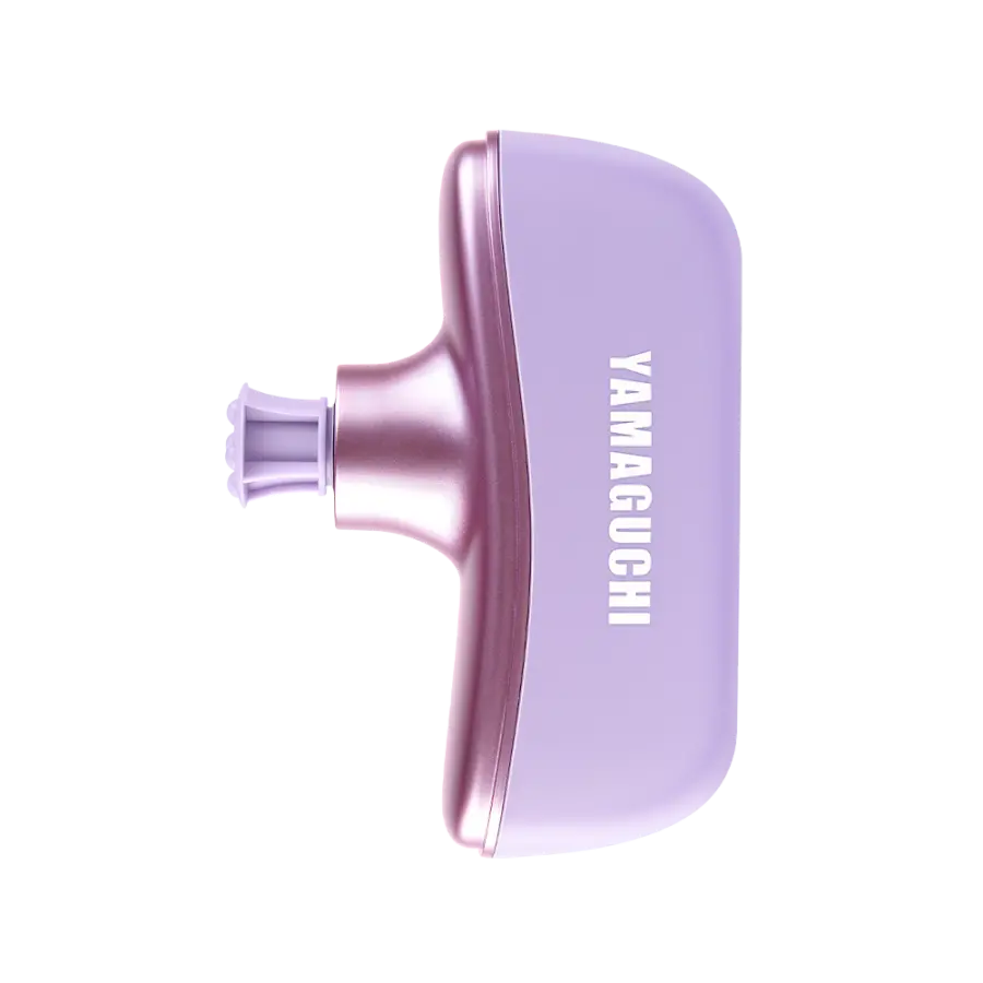 Yamaguchi Beauty Gun